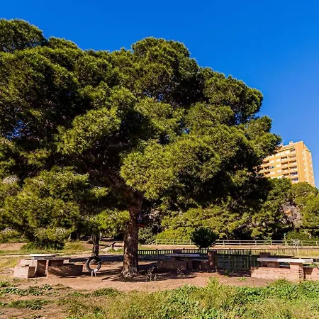 House In A Pine Park Near The Sea Holiday home Campoamor